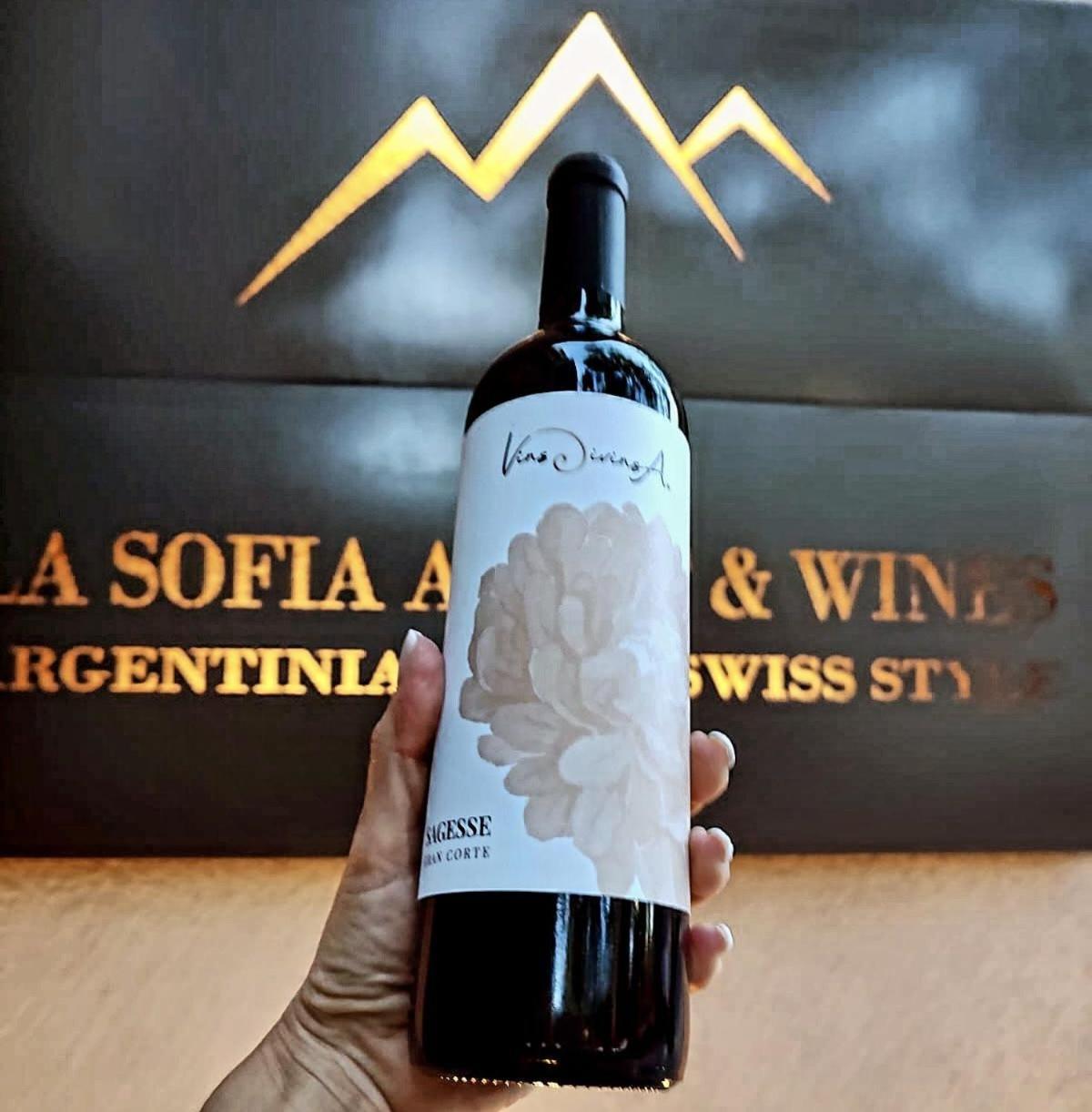 La Sofia Apart & Wines Mendoza Zewnętrze zdjęcie