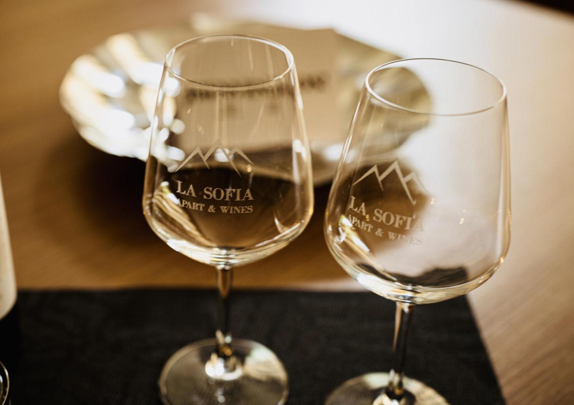 La Sofia Apart & Wines Mendoza Zewnętrze zdjęcie